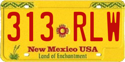 NM license plate 313RLW