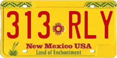 NM license plate 313RLY