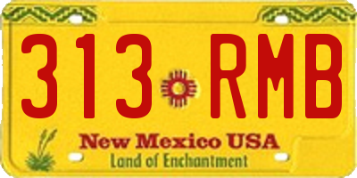 NM license plate 313RMB