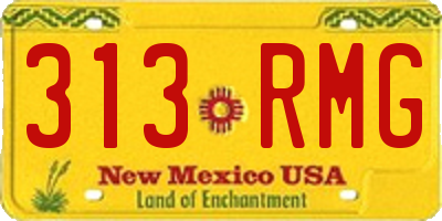 NM license plate 313RMG