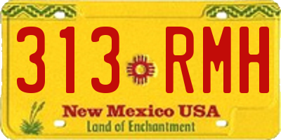 NM license plate 313RMH