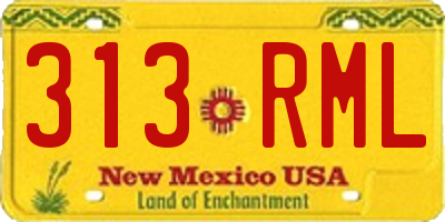 NM license plate 313RML