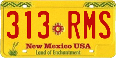 NM license plate 313RMS