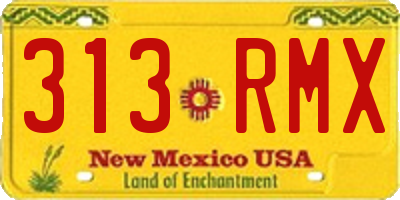 NM license plate 313RMX