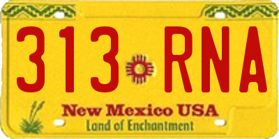 NM license plate 313RNA