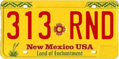 NM license plate 313RND
