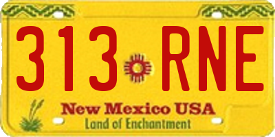 NM license plate 313RNE