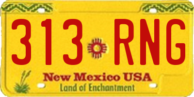 NM license plate 313RNG