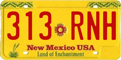NM license plate 313RNH