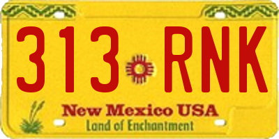 NM license plate 313RNK