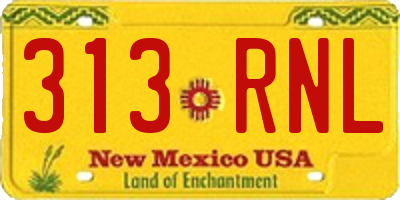 NM license plate 313RNL
