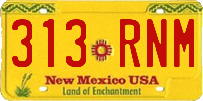 NM license plate 313RNM