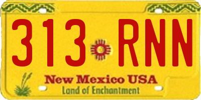 NM license plate 313RNN