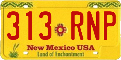 NM license plate 313RNP