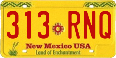 NM license plate 313RNQ