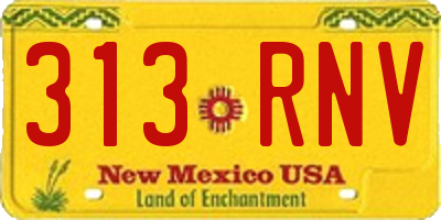 NM license plate 313RNV