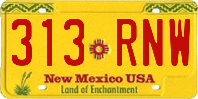 NM license plate 313RNW