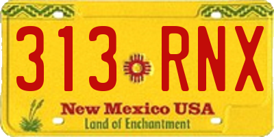 NM license plate 313RNX