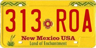 NM license plate 313ROA