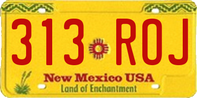 NM license plate 313ROJ