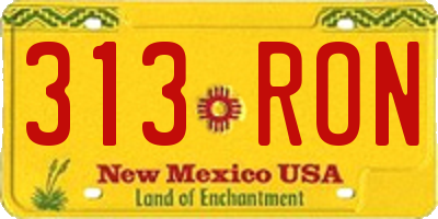 NM license plate 313RON