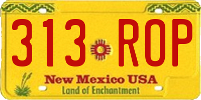 NM license plate 313ROP