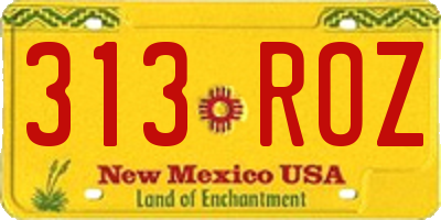 NM license plate 313ROZ