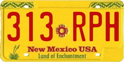 NM license plate 313RPH