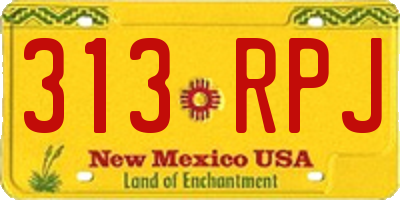 NM license plate 313RPJ