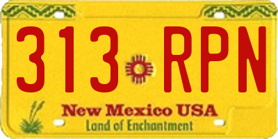 NM license plate 313RPN