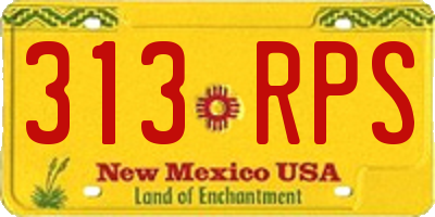 NM license plate 313RPS