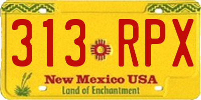 NM license plate 313RPX