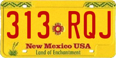 NM license plate 313RQJ