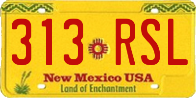 NM license plate 313RSL