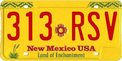 NM license plate 313RSV