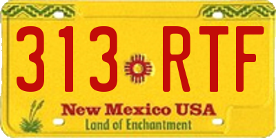 NM license plate 313RTF