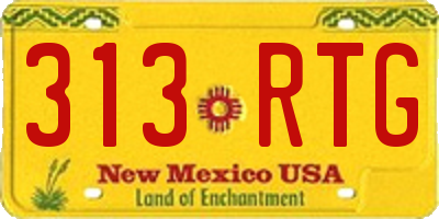NM license plate 313RTG
