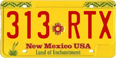 NM license plate 313RTX