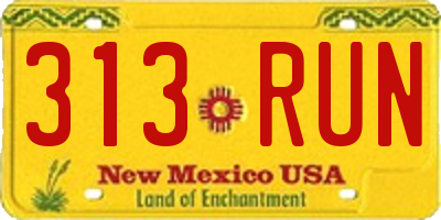 NM license plate 313RUN