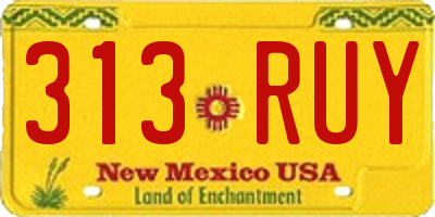 NM license plate 313RUY