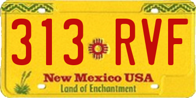 NM license plate 313RVF