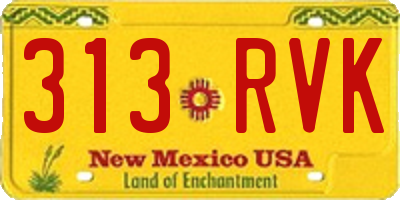 NM license plate 313RVK