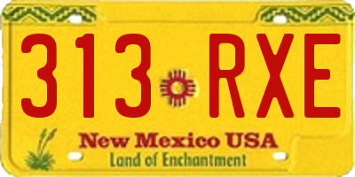 NM license plate 313RXE
