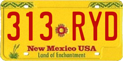 NM license plate 313RYD