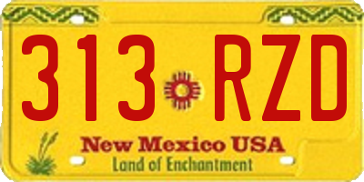 NM license plate 313RZD