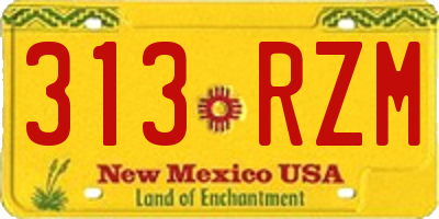 NM license plate 313RZM