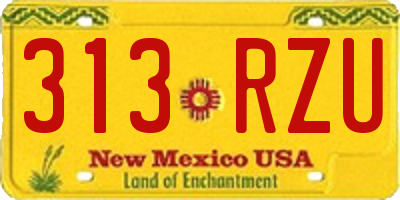 NM license plate 313RZU