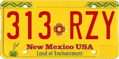 NM license plate 313RZY