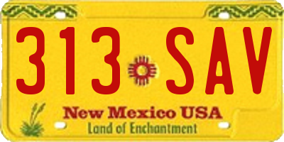 NM license plate 313SAV
