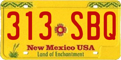 NM license plate 313SBQ